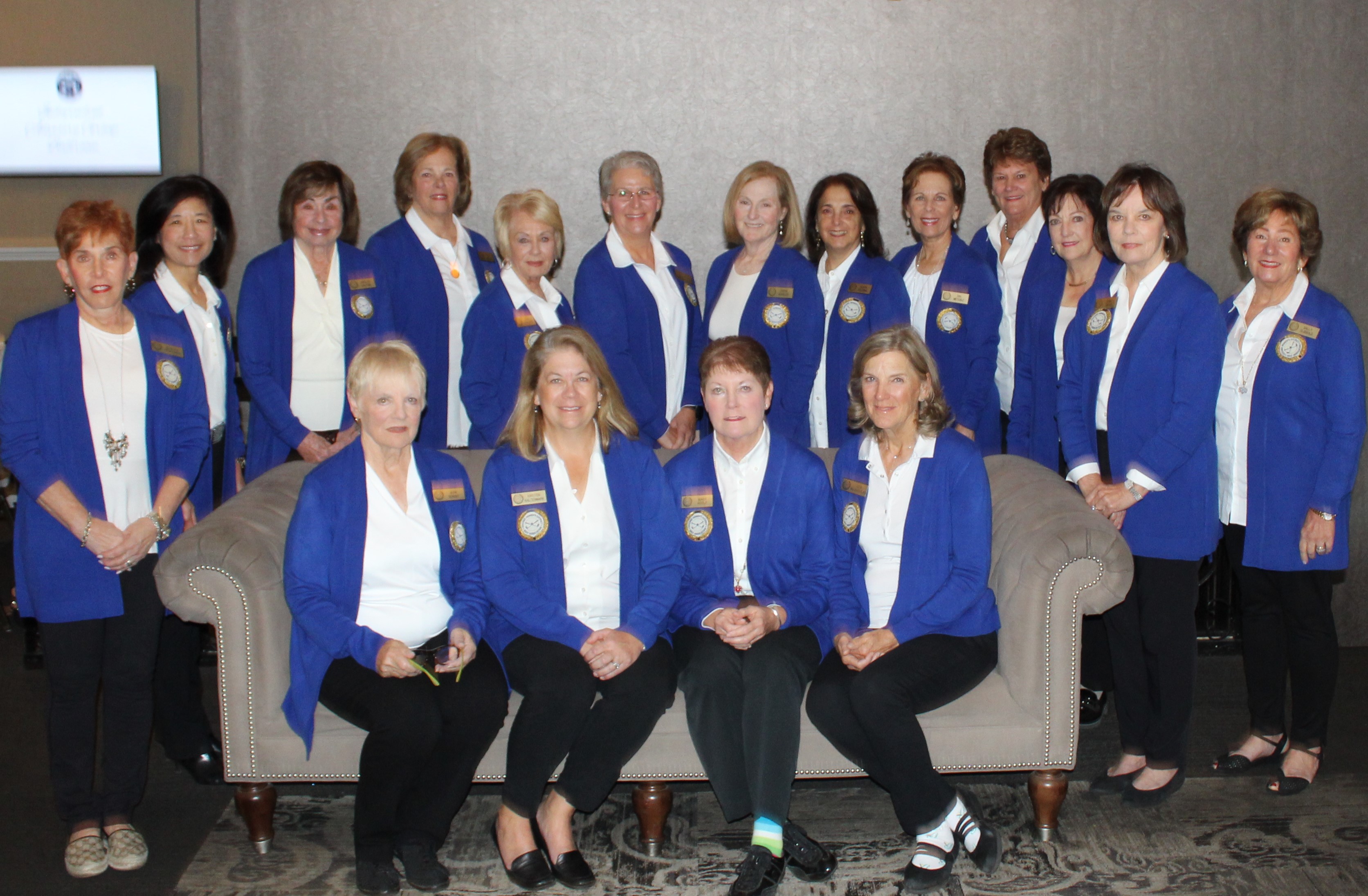 2020 CWDGA Board